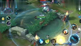 吃瓜侠测评,热门美食背后的真相与惊喜