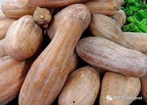 123方瓜怎么吃,123方瓜的多样食法探索