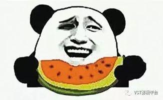 吃瓜群1441296,一场网络热议背后的故事