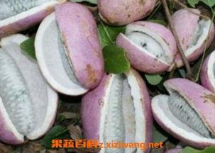 恩施酒店吃瓜视频下载,揭秘当地特色美食背后的故事