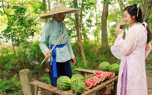 无事吃瓜乱弹琴,弹奏生活旋律