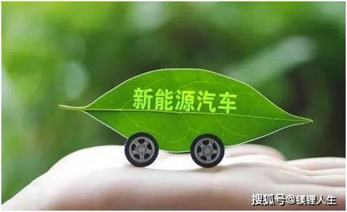 吃瓜轻量版,轻松掌握娱乐圈热点，畅享轻松阅读时光