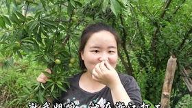 四川娜娜吃瓜,揭秘网络红人的瓜田生活