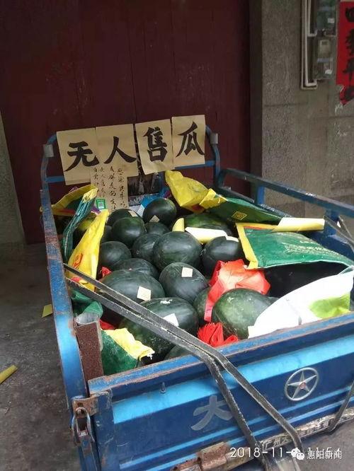 网吧街吃瓜,揭秘网络世界的酸甜苦辣