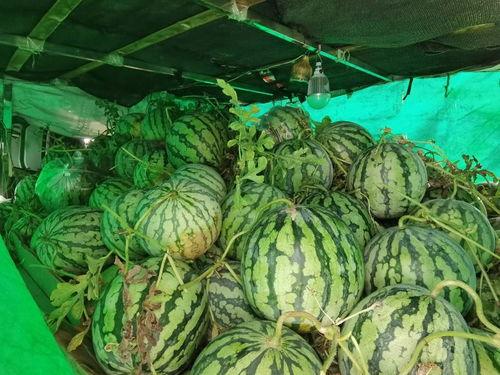 吃瓜工业,从娱乐现象到产业生态的演变