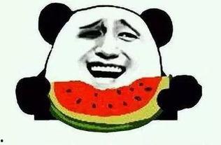 吃朋友感情的瓜,那些被吃掉的友情瓜