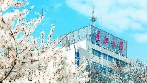 长江大学吃瓜,吃瓜群众揭秘校园热点事件