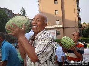 吃瓜吃太多照片图片,揭秘吃瓜群众背后的照片故事