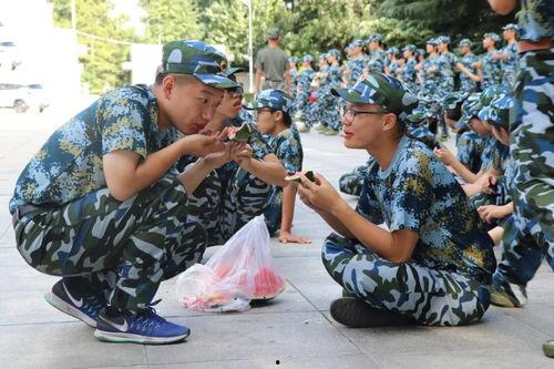 吃军涛的瓜,娱乐圈背后的瓜田秘闻
