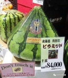 中国吃瓜群众直播,揭秘中国吃瓜群众的直播生活