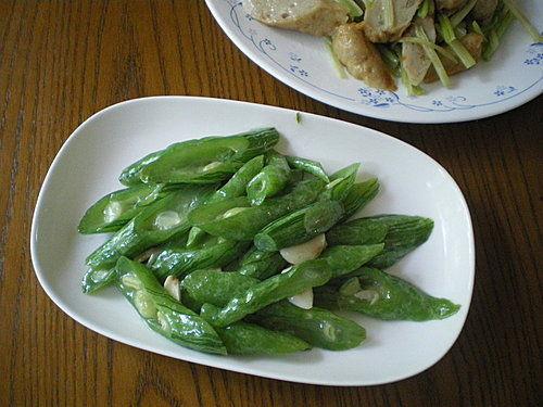 蛇吃瓜叶,自然界的奇妙生态现象揭秘