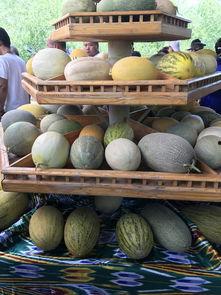 锦华观芷吃瓜,揭秘网红吃瓜背后的故事