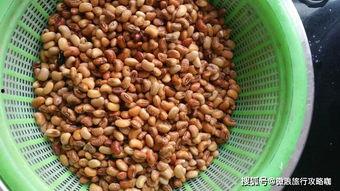 日照山体吃瓜,瓜果飘香，生态宜居的绿色画卷