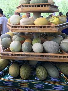 我们在新疆吃瓜,味蕾之旅的甜蜜篇章