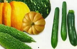 大毛吃瓜,揭秘娱乐圈幕后故事