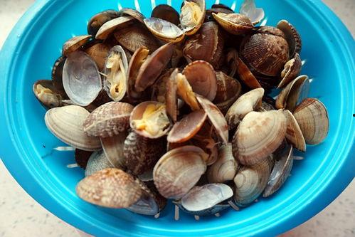 瓠瓜煮水吃,古老食疗方，养生保健新选择