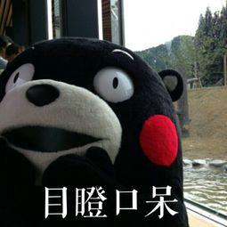 吃瓜群众选什么好