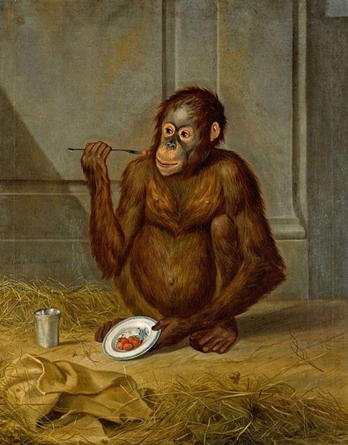 大妈吃瓜像猿猴,竟如猿猴般投入！